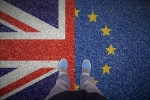 49% người Anh ủng hộ quay lại EU
