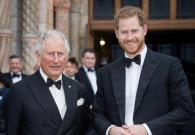 Hoàng tử Harry trở về sẽ tốt cho Thái tử William?
