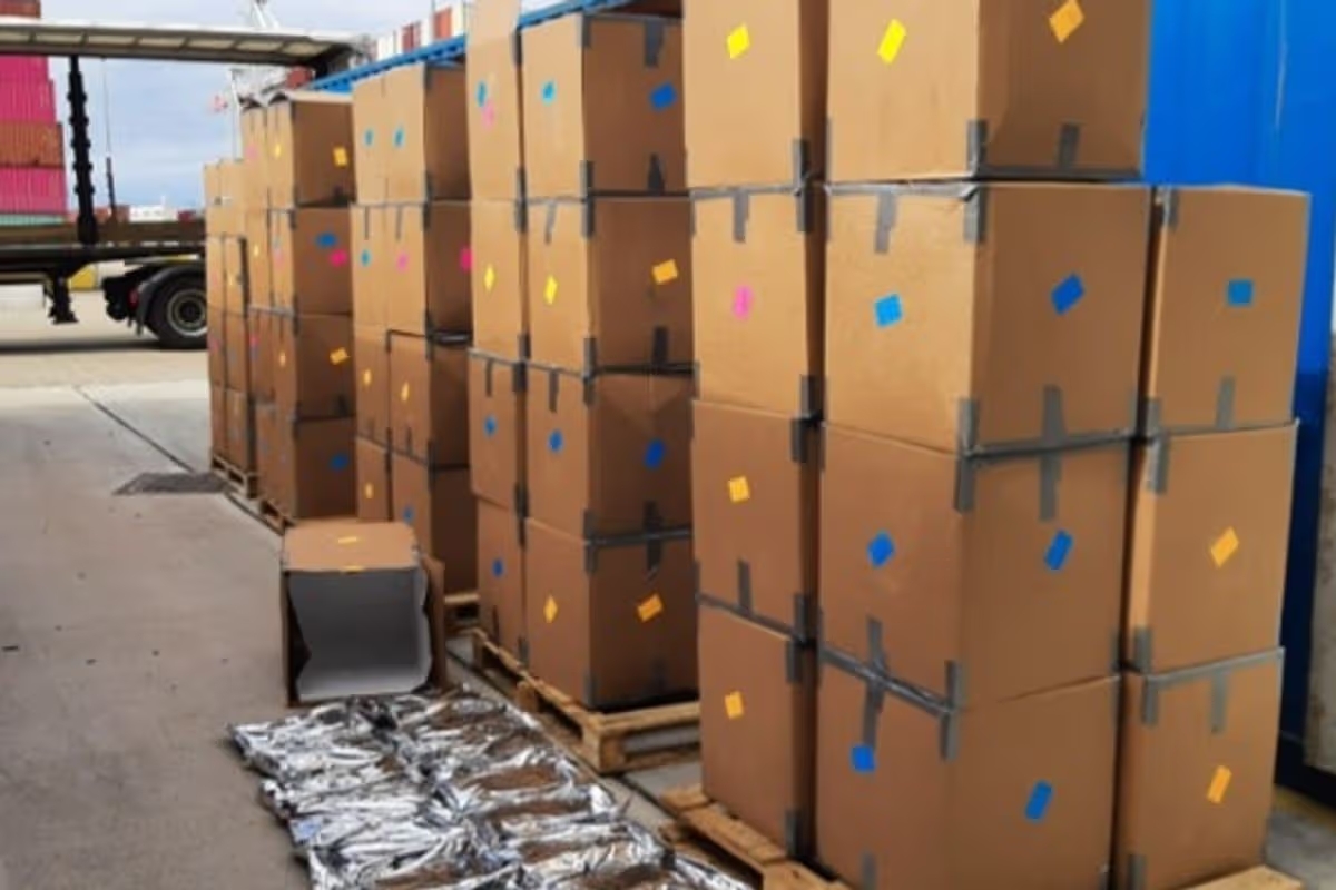 Vụ bắt giữ cần sa lớn nhất nước Anh: 1.200 thùng carton trị giá 139 triệu bảng