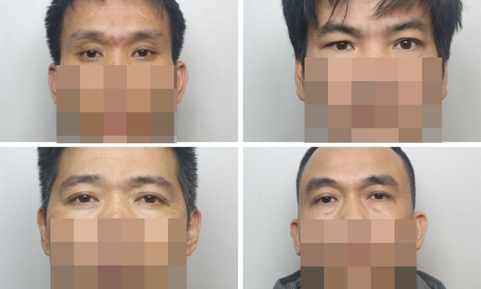 4 người Việt bị bỏ tù vì trồng cần sa ở Halifax
