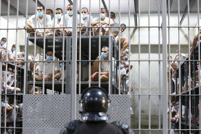 a726b58 ftp import images 1 grklvncolnpj 2025 04 16t041943z 1130785716 rc25rdaite9l rtrmadp 3 usa trump migration el salvador