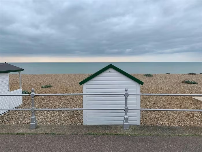 can choi ven bien east sussex 1