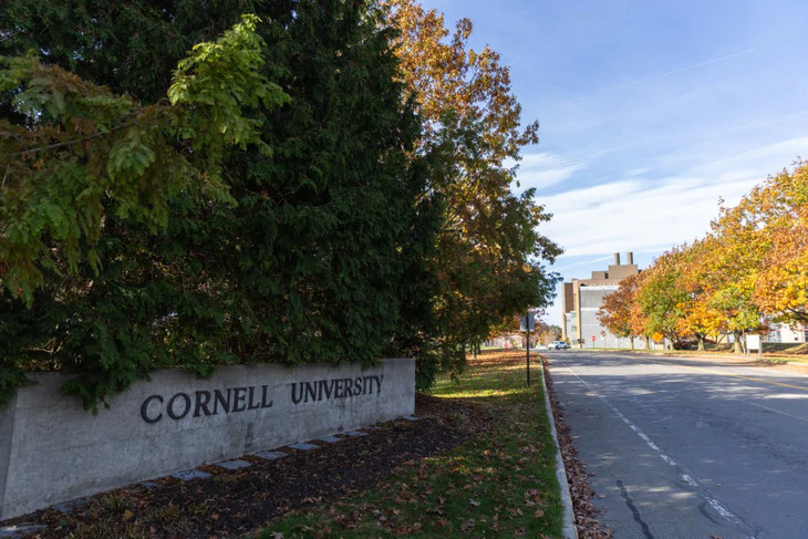 cornell university 1