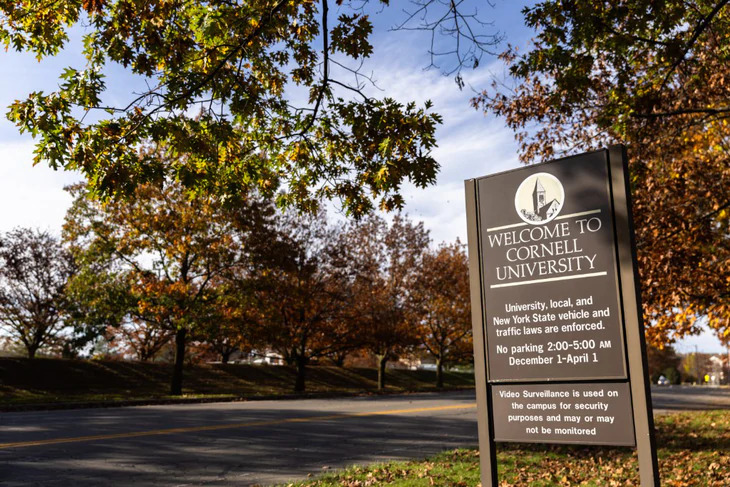 cornell university 1