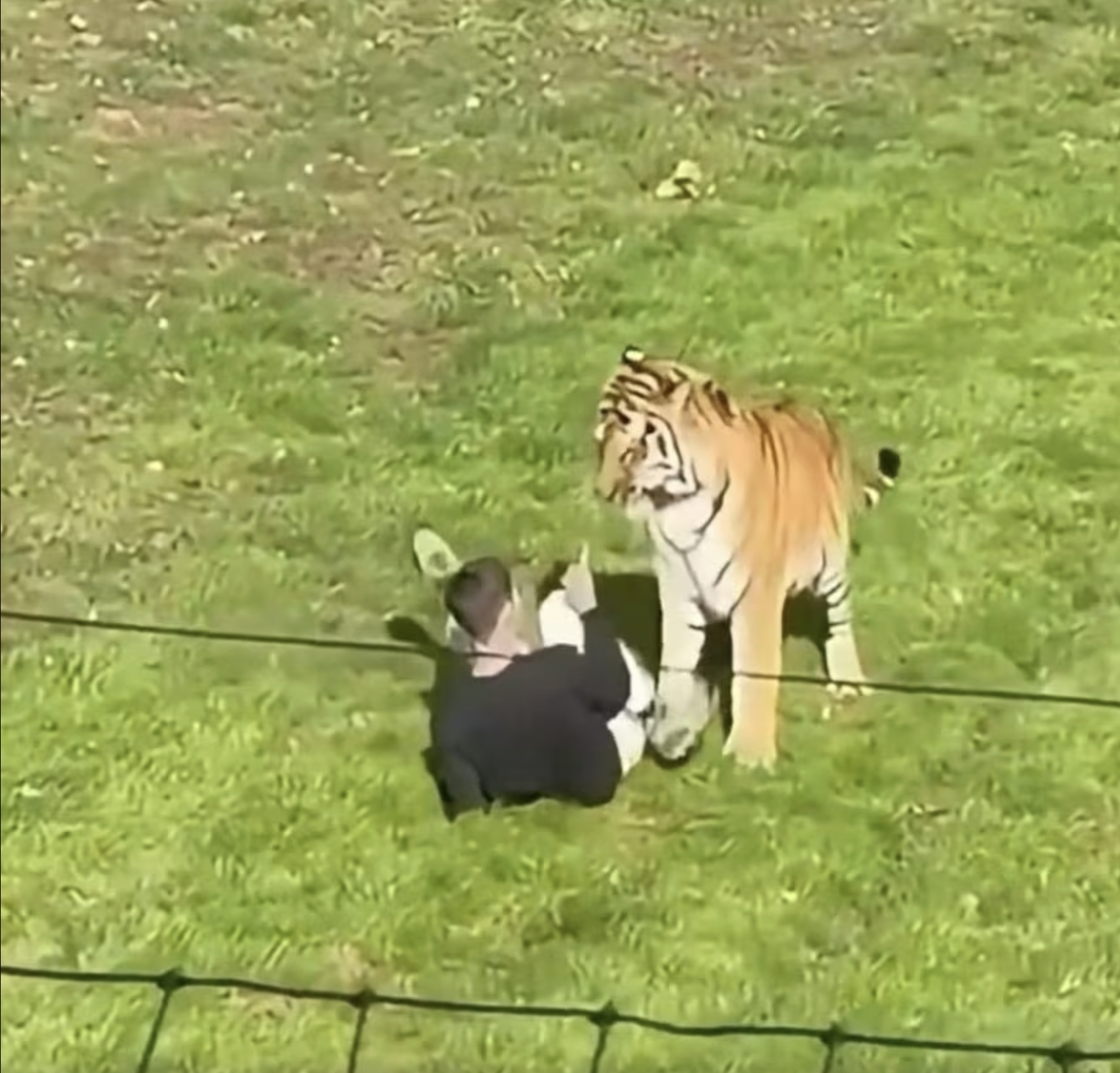 ho vo