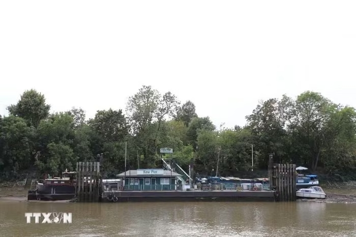 song thames 2