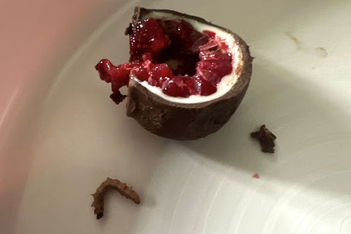 aldi co gioi 1