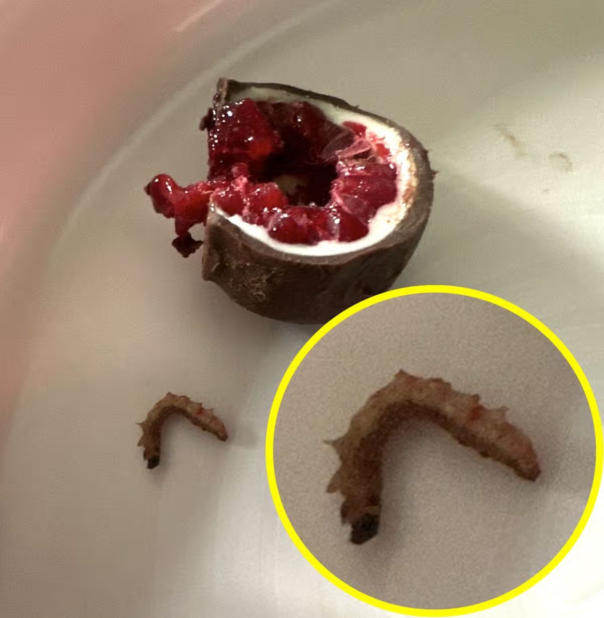 aldi co gioi 1