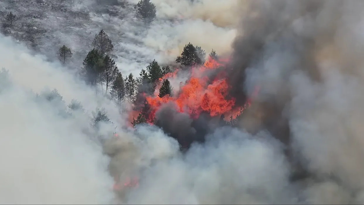 chay rung derbyshire 1