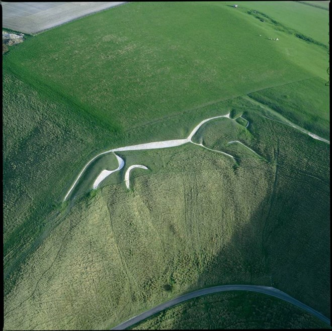 ngua trang uffington